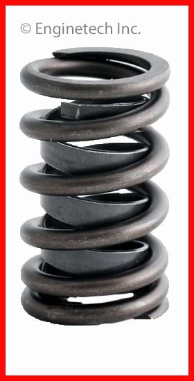 VALVE SPRING 4 GM PONT