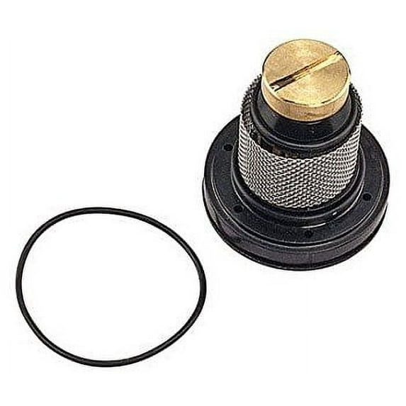 VALVE WATER REPAIR KIT by WATTS MfrPartNo N45B-SRK