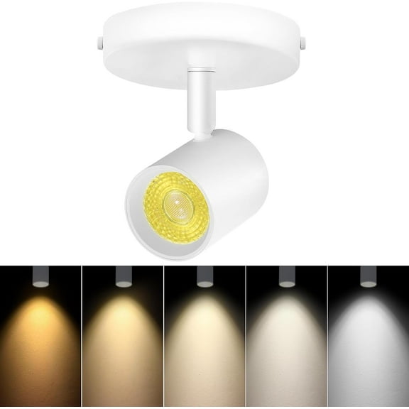 VANoopee 5-Color Dimmable Ceiling Spotlight Flush Mount Adjustable Directional LED Spot Lights Indoor Bright Accent Fixture for Art Picture Living Room Bedroom - CRI90 24 Flicker Free 10W 800lm White