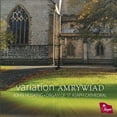 thumbnail image 1 of VARIATION AMRYWIAD, 1 of 1