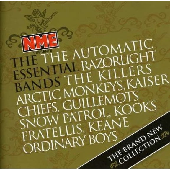 VARIOUS ARTISTS - NME PRESENTS THE ESSENTIAL BANDS 2006