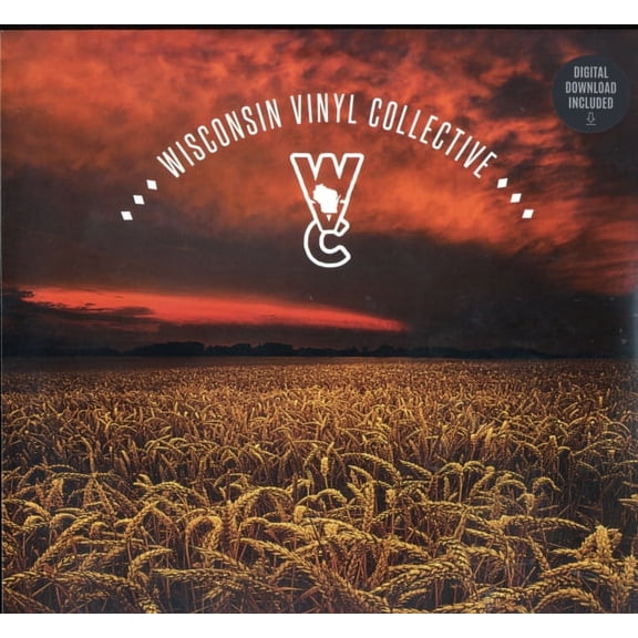 VARIOUS - WISCONSIN VINYL COLLECTIVE:VOLUME THR