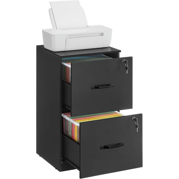 VASAGLE 2-Drawer Vertical File Cabinet Filing Cabinet Printer Stand Adjustable Hanging Rail for A4 and Letter-Size Files Ink Black