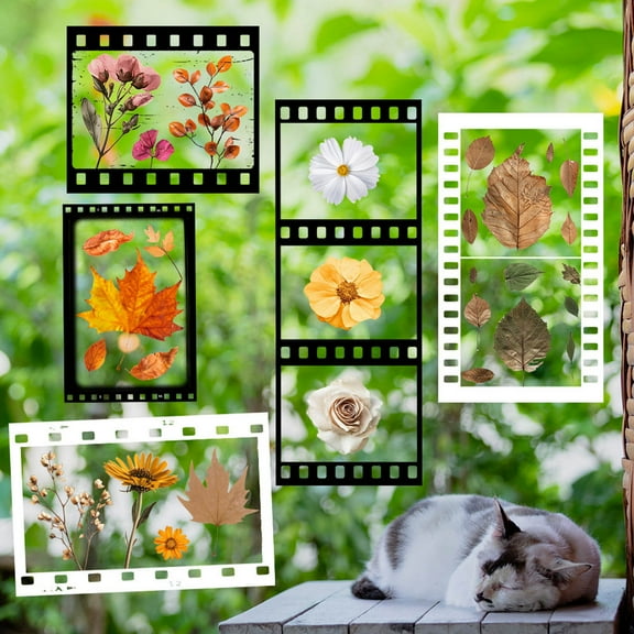 VBBHG Spring Summer Flower Themed Stickers Set Creative Floral Movie Filmstrip Window Sticker Maple Leaf Daisy Sunflower Assorted Glass Decals for Bedroom Living Room Decoration