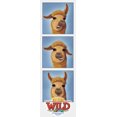 thumbnail image 1 of VBS-In The Wild Bookmarks (Pack Of 50) (2019), 1 of 1