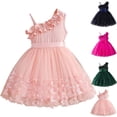 thumbnail image 1 of VBTAPA Flower Girl Embroidery Dress Little Princess Dresses Tulle Mini Dress Birthday Party Dresses Pink 5 Years, 1 of 9