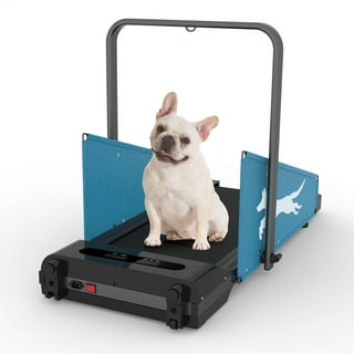 Dog Walking Machine