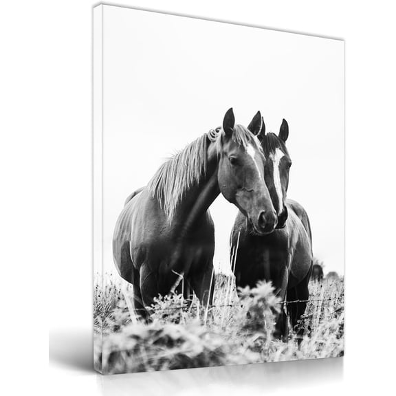 VELVET Bathroom Wall Art Decor, Black and White Horse Wall Art, Waterproof Wood Canvas Wall Art Animals Abstract Prints, High-end Pictures for Dormitory Kids Room 1 Pack 20x24inch Framed