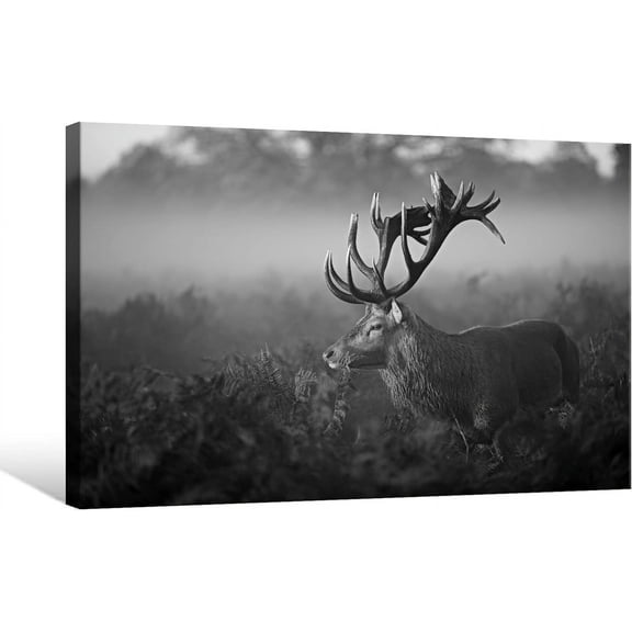 VELVET Bull Elk Canvas Wall Art Black and White Animal Picture Moose Deer Pictures Print Modern Wildlife Artwork for Living Room Home Office Decor Ready to Hang 20x16inch Framed