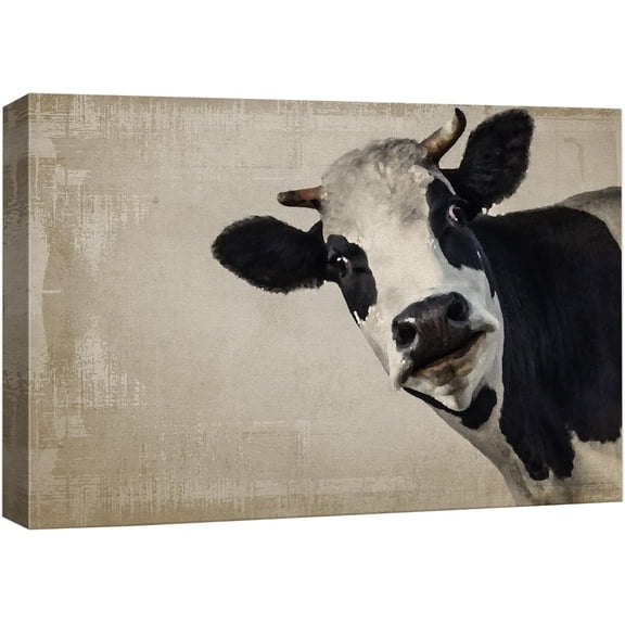 VELVET Canvas Print Wall Art Black & White Cow Portrait on Grunge Background Animals Wildlife Digital Art Realism Rustic Scenic Nature Photography Colorful for Living Room,, Office - 10x8inch Framed
