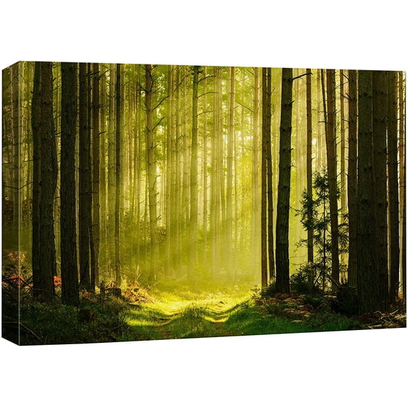 VELVET Canvas Print Wall Art Springtime Summer Sunlight Green Forest Nature Wilderness Photography Realism Earth Scenery Rustic Scenic Landscape Colorful for Living Room, Bedroom, 18x12inch Framed