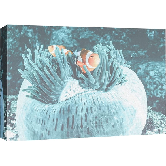 VELVET Canvas Prt Wall Art Clownfish Hides Coral Amphibians Ocean Photography Realism Nautical Closeup Colorful Multicolor Ultra for Livg Room, Bedroom, Office - 10x8inch Framed