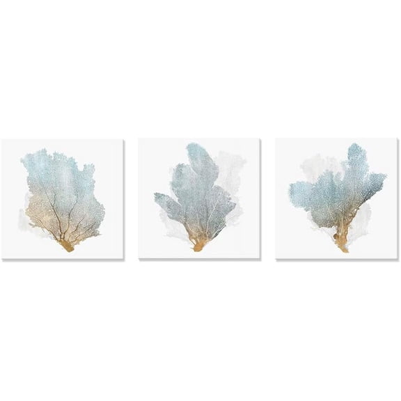 VELVET Delicate Coral by PI Creative Art Modern Ocean Marine Animal Wall Pictures Vintage Giclee Print on Canvas Stretched for Living Room Bedroom x 3 pcs 8x10inch Framed