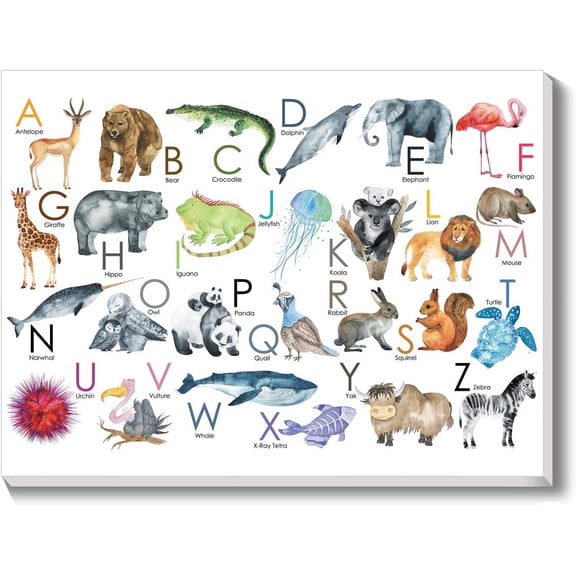 VELVET Kids Alphabet Letters with Pictures on Large Canvas Wall Art, Preschool Learng Educational Posters, Alphabet Zoo Animal ABC for Kids Toddlers, Baby Nursery Art Prts 10x8inch Unframed