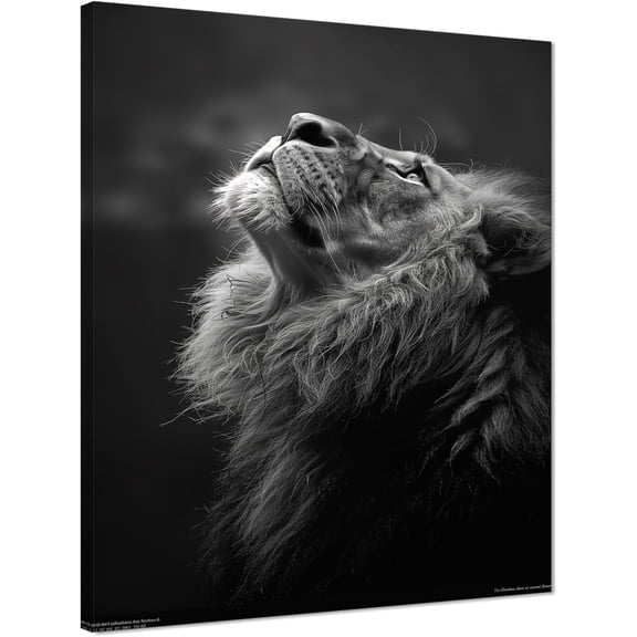 VELVET Lion Canvas Prints Art Modern Animals Pictures Wall Art Lion Looks Up at the Stars Posters Black and White Posters Wall Decor Living Dining Room Decor Ready to Hang- 8x10inch Framed