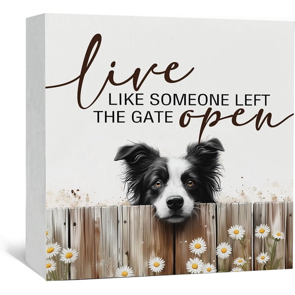 VELVET Live like Someone Left the Gate Open Border Collie Wooden Signs,Farm Cottagecore Animal Office Kitchen Bedroom Decor,Rustic Farmhouse Decor Signs,Border Collie Gifts for Women 14x11inch Framed