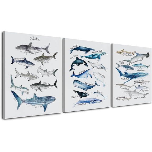 VELVET NOGRIT Shark Wall Art Set of 3, 1114 , Classroom & Dorm Decor, Gift for Shark Lovers 12x18inch Framed