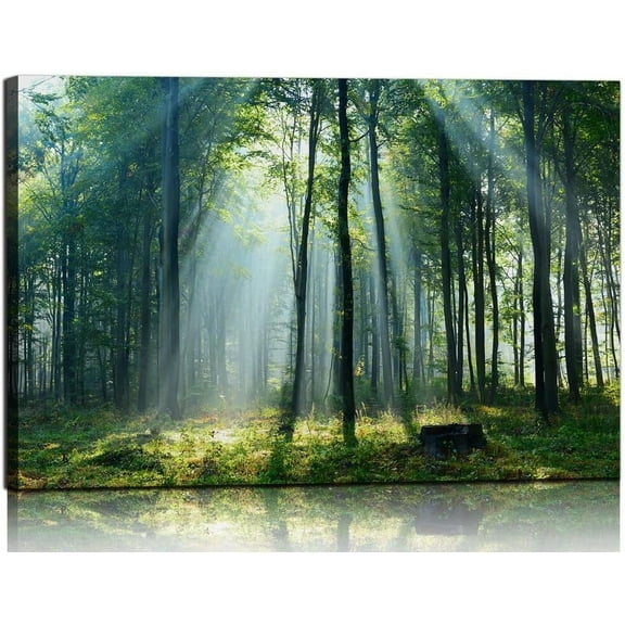 VELVET Nature Wall Art Green Forest Canvas Pictures Scenery Wall Art with Sunshine Photo Modern Tree Landscape Art Prints Beautiful Mountain Artwork for Living Room Kitchen ations 14x11inch Framed