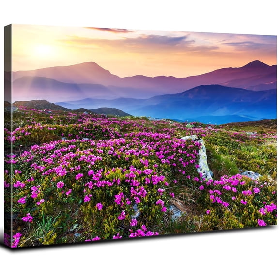 VELVET Nature Wall Art Mountains Sunrise Photo Wall Decor National Park Scenery Poster Purple Flowers Aesthetics Canvas Print Forest Landscape Painting for Dining Room Decorations 16x12inch Framed