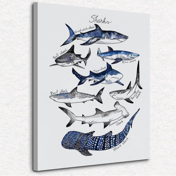 VELVET Shark Wall Art Ocean Themed Shark Gifts, Classroom Library Decor 8x10inch Framed