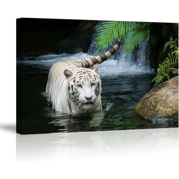VELVET White Tiger Picture Decor for Gorgeous Wall Art of Ivory Tigress Pond Wild Life Theme Canvas Patg Prts on Canvas (1" Thick Waterproof Artwork Bracket Mounted Ready to Hang) 20x16inch Framed