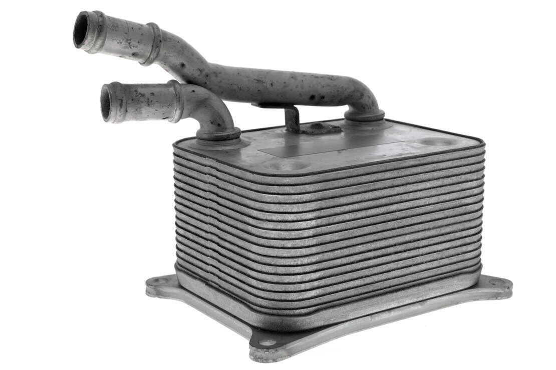 VEMO V15-60-0017 Oil Cooler, engine oil