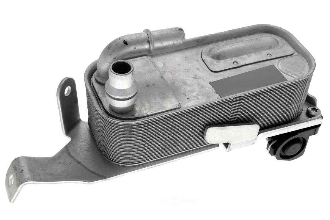 VEMO V20-60-0053 Oil Cooler, engine oil