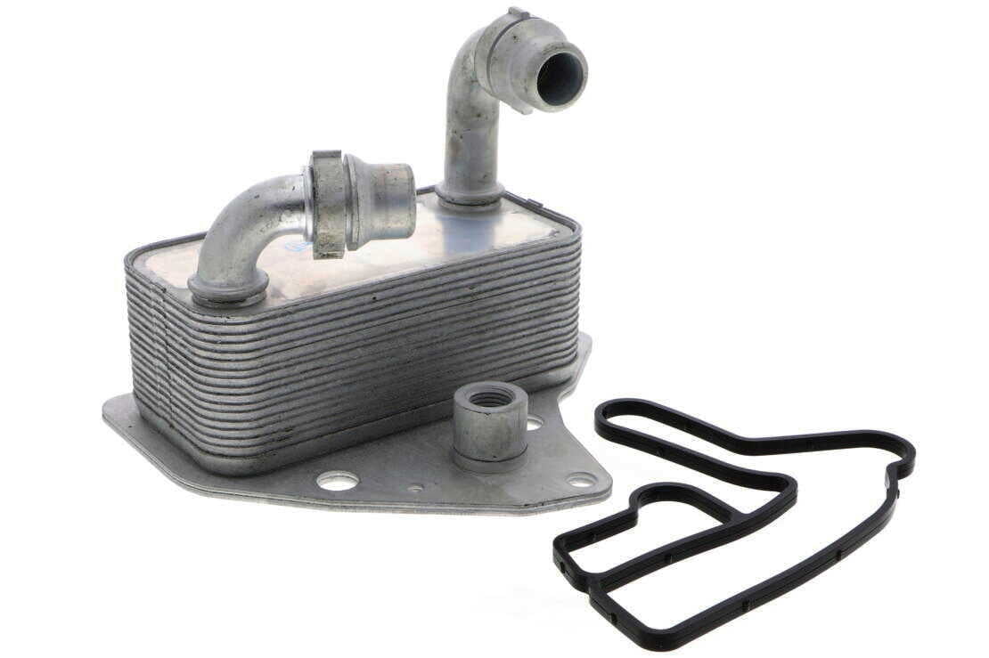 VEMO V40-60-2100 Oil Cooler, engine oil