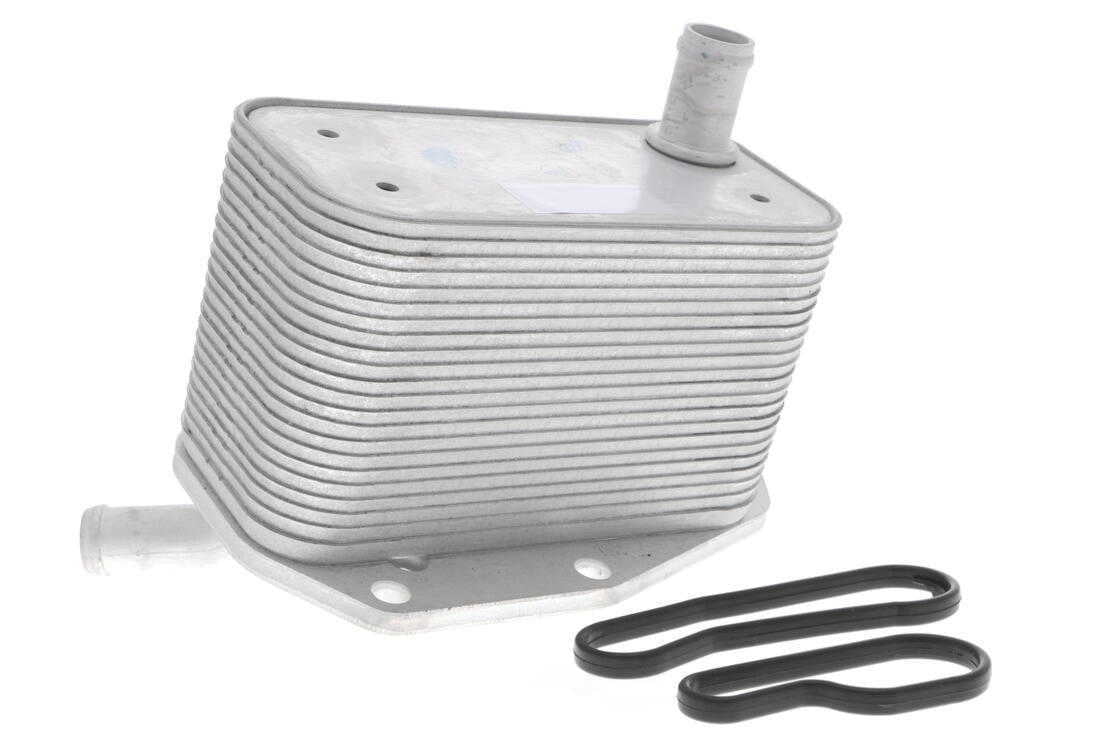 VEMO V48-60-0022 Oil Cooler, engine oil