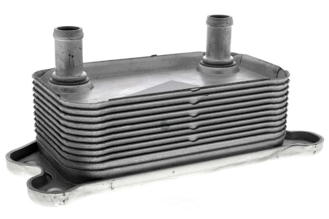 VEMO V95-60-0012 Oil Cooler, engine oil