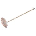 VERDANVERSE Safe Plastic Betta Fish Exercise Wand for Active Aquarium ...