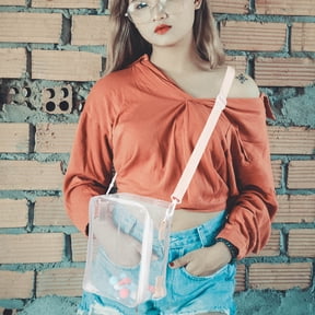 VERDANVERSE Clear Display Case for Dolls Transparent PVC Storage Bag with Shoulder Strap Large Capacity