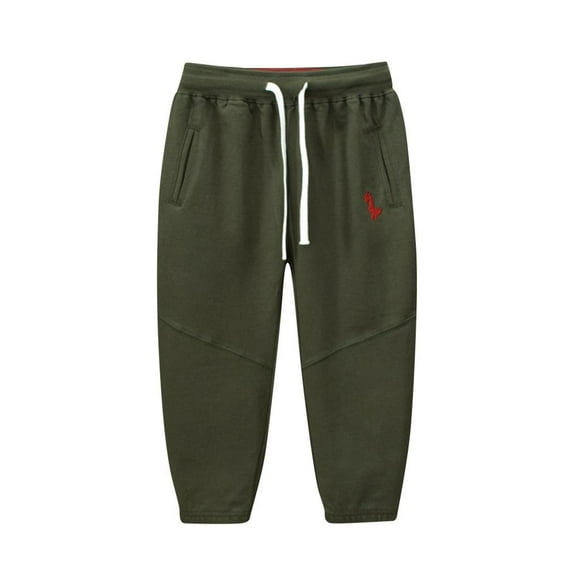 VERUGU Toddler Sweatpants Girls Boys Fall Winter Casual Cute Dinosaur Printed Elastic Waist Long Pants Fashion Versatile Sweatpants Army Green 4 Years