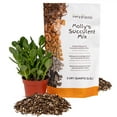 thumbnail image 1 of VERYPLANTS Molly's Succulent Mix Soil, 3 Dry qt, 1 of 5