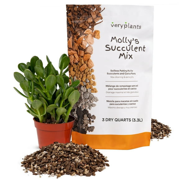 VERYPLANTS Molly's Succulent Mix Soil, 3 Dry qt