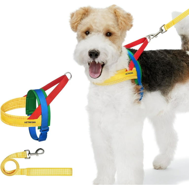 Harness collar for small cheap dogs