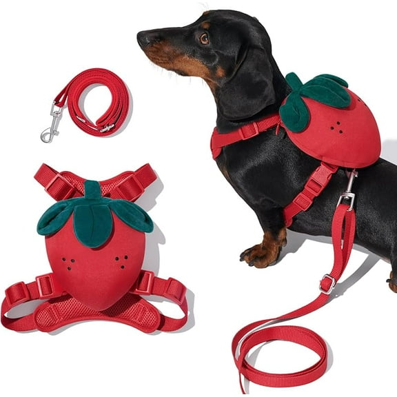 VETRESKA Strawberry Dog Harness and Leash Set, No Pull Dog Vest Harness for Medium Large Dogs, Walking and Training, Adjustable, Easy Control and Soft Padded Pet Harness and Backpack (S)