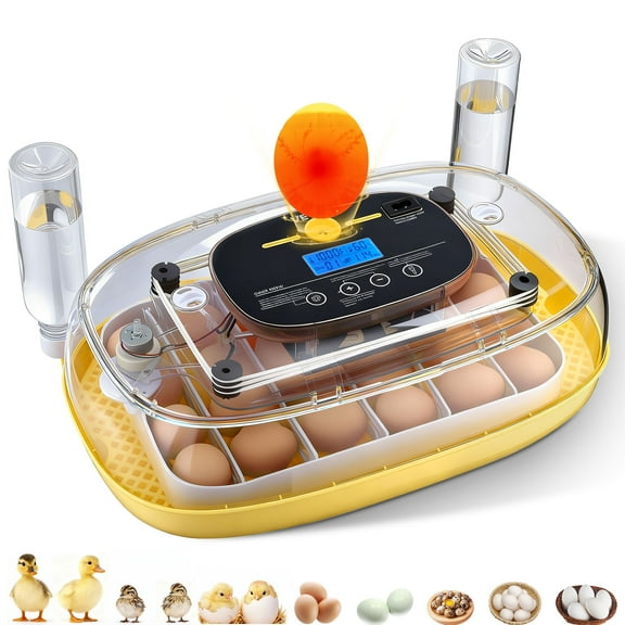 VEVOR 24 Egg Incubator, Automatic Egg Turner with LED Candler, Temperature & Humidity Control, 360 View Clear Window, Auto Water Refill, Poultry Eggs Incubators for Hatching Chicks Ducks Goose Quail