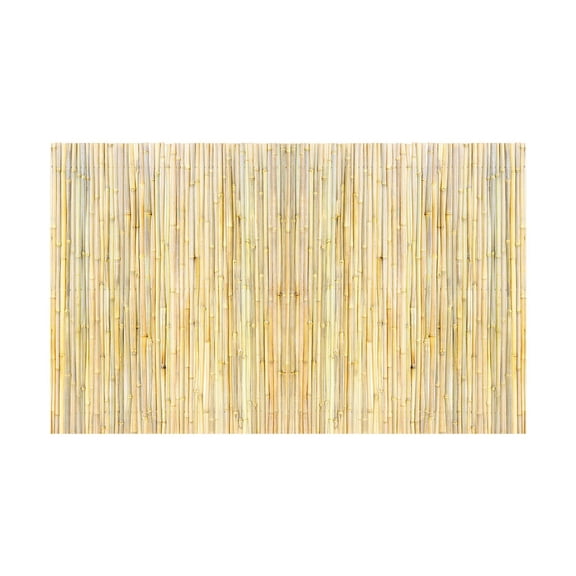 VEVOR Natural Rolled Bamboo Fence, Eco-Friendly Bamboo Privacy Fence 4 ft H x 8 ft L x 0.75 in D. , Decorative Bamboo Privacy Screen for Garden, Backy