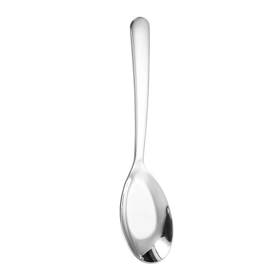 VHXWUGN 1 Pack Flat Head Spoon, Flat Sugar Spoon,Stainless Steel Table Spoons Dinner Spoon(Large)
