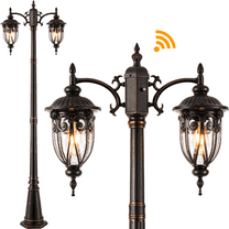 VIANIS 2-Head Outdoor Lamp Post Light, Dusk to Dawn Post Lamps Outside, Waterproof Seed Glass Lamp Posts Outdoor Lighting, Anti-Rust Bronze Light Posts for Outside, Garden, Yard, Doorway, Hardwired