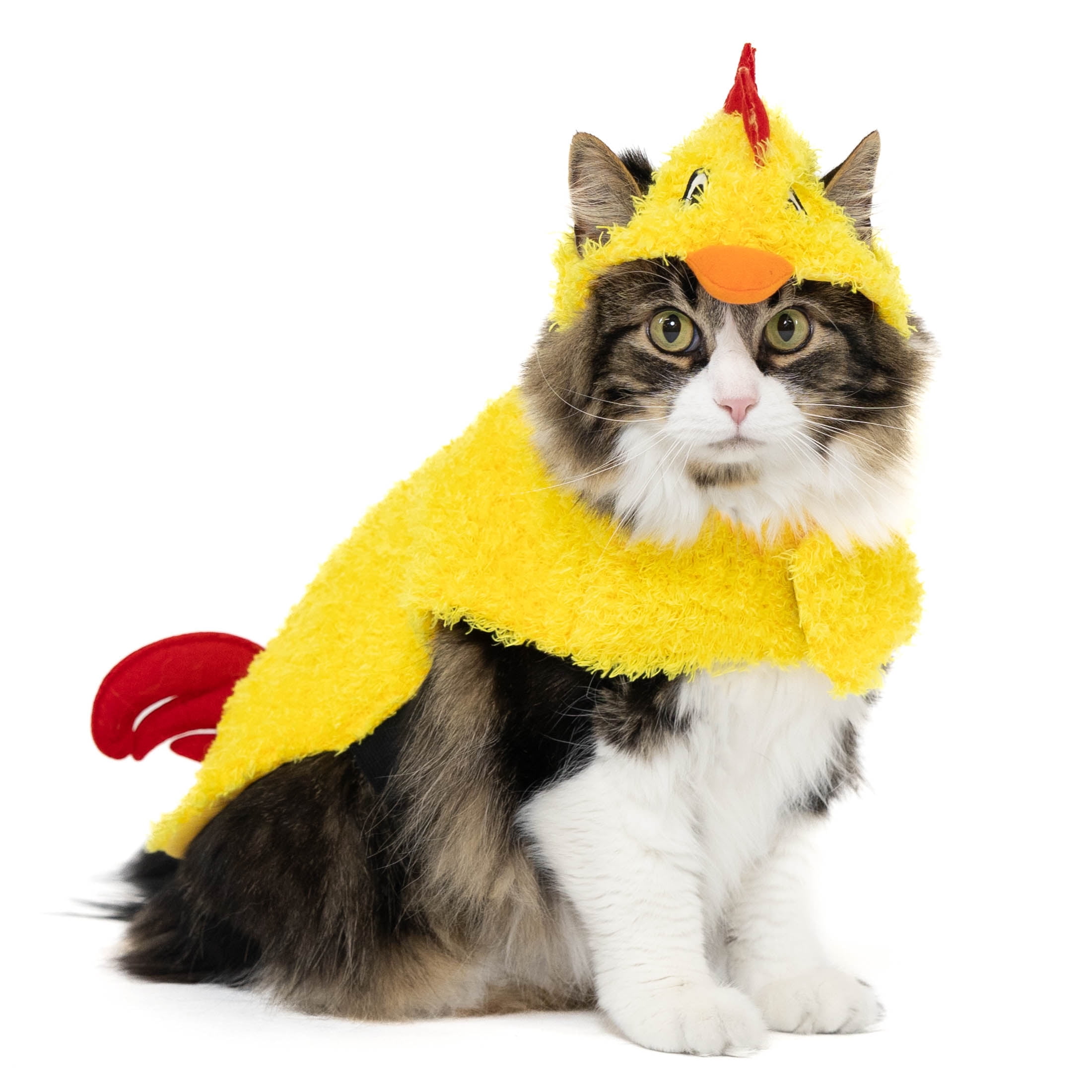 Cat chicken costume online