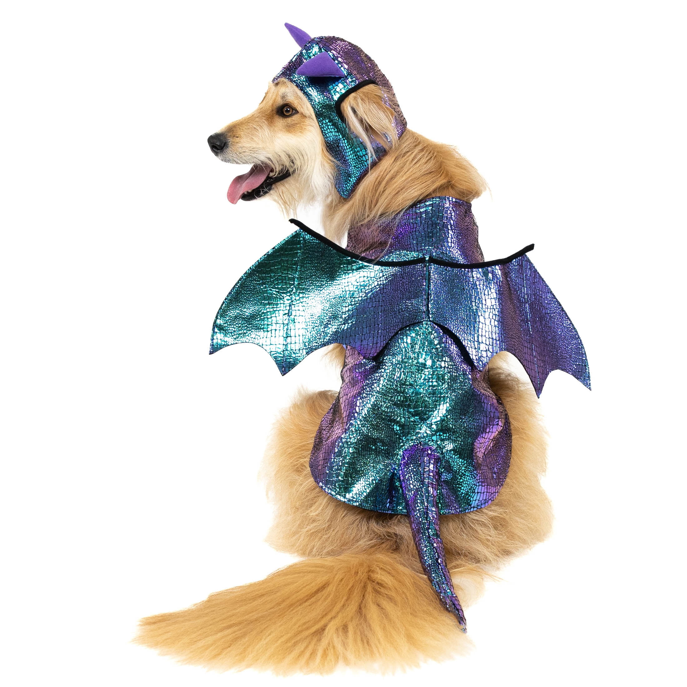 Dragon dog outfit sale