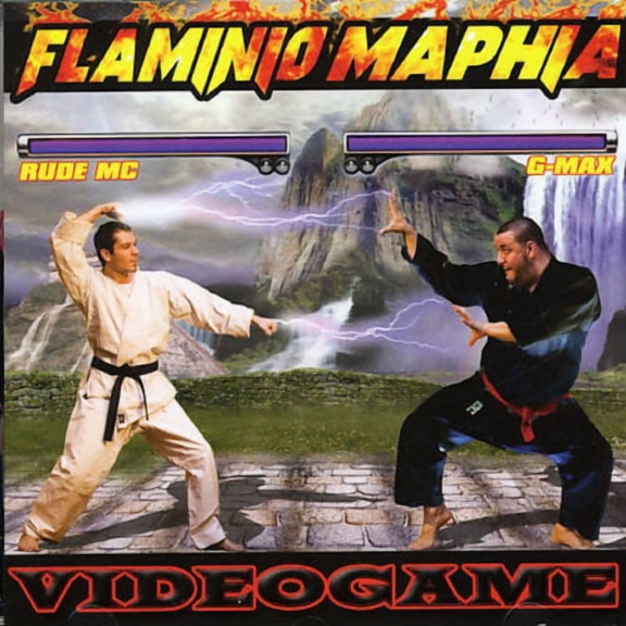 VIDEO GAME *