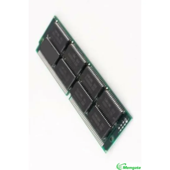 VIGOR- 128Mb 72 Pin Edo Memory Simm 5V 3V 60Ns