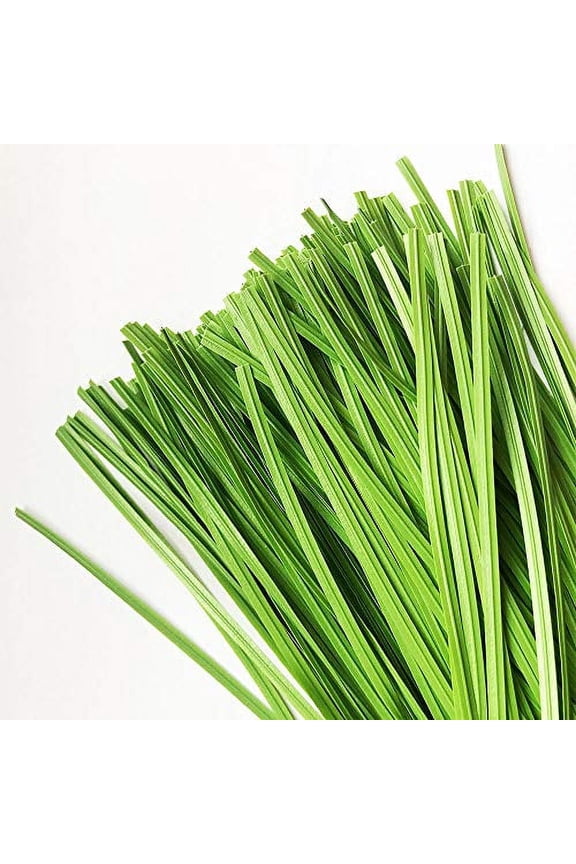 Garden Twist Tie Plant Ties Green Stripes 200 Pcs 6 inches for Plants Vines Wrapping Cords or Christmas Tree