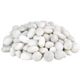 thumbnail image 1 of VINICS 20lbs Natural Unpolished Bulk Pebbles, 2-3 Inch White River Rocks, Hand-Picked Premium Stones for Landscaping and Garden Design Fish Tank, Flower Pots, Pathways and Backyard C99, 1 of 3
