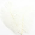 thumbnail image 1 of VINOIC 12-14in Colorful Ostrich Feathers Decoration for Wedding Centerpiece Stage Costume Flower Arrangement, 1 of 7