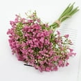 thumbnail image 1 of VINOIC Artificial Baby's Breath - Gypsophila Decor Bouquet for Flower Arrangements & Light Centerpieces, 1 of 9