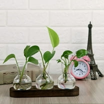 VINOIC Glass Plant Propagation Station, Terrarium with Wooden Stand, Perfect Bulb Vase Planter for Plant Lovers, Decorative Display for Home and Office Gardening